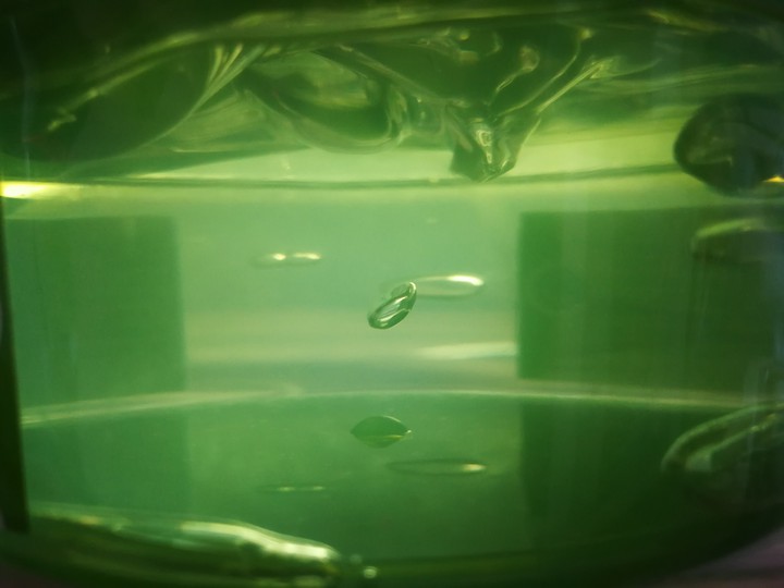 Lonely Bubble