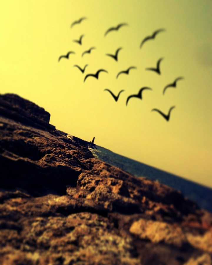 live in cyprus