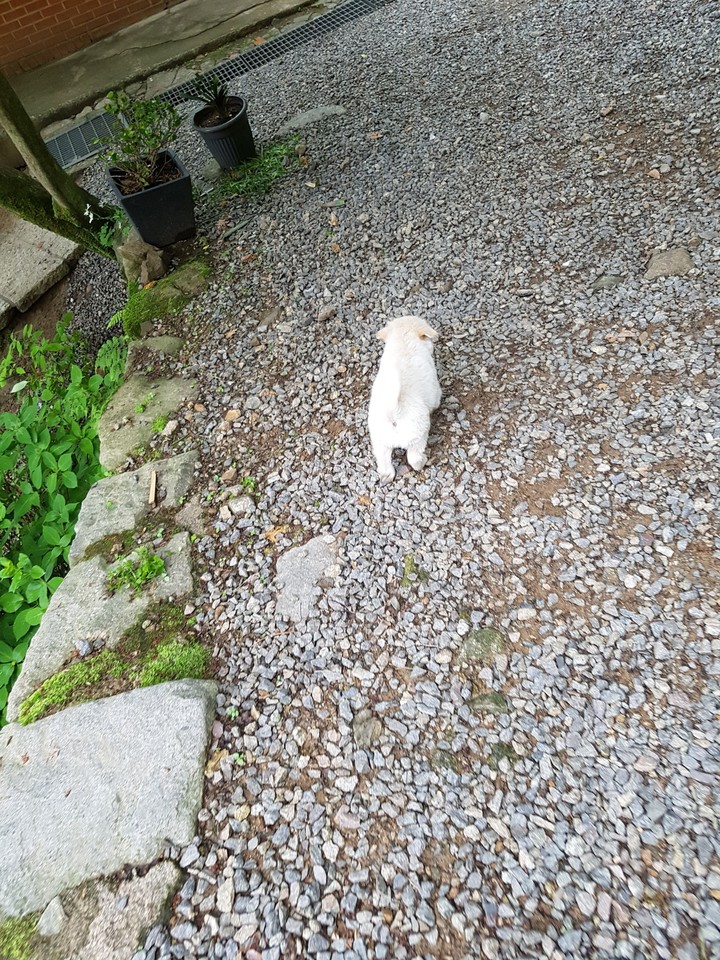 가출할꺼야
