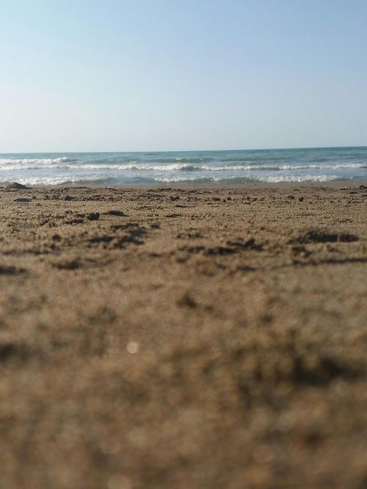 on beach