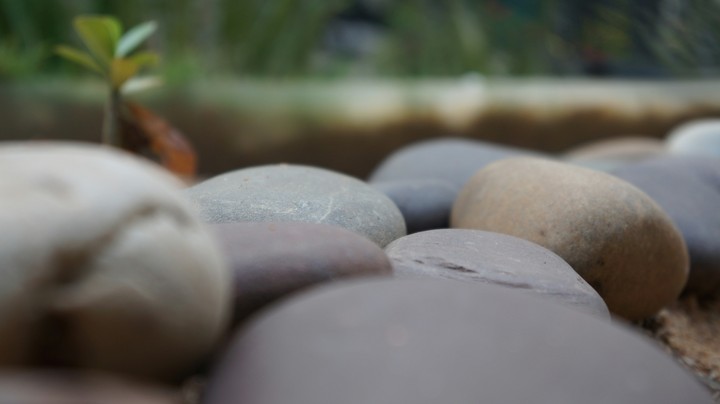 Stones