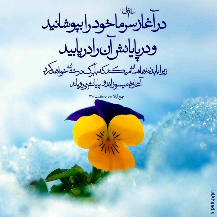 emam Ali(Peace be upon him)