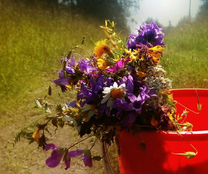 bouquet of wildflowers