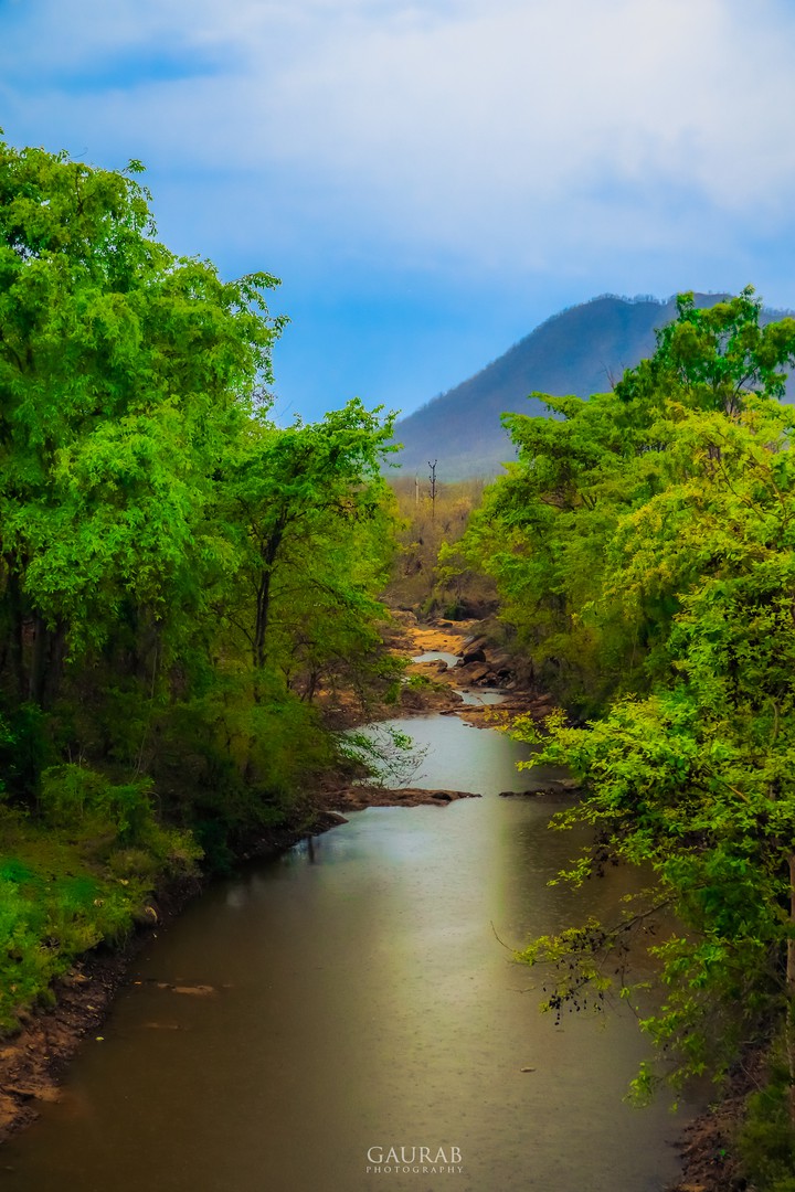 love nature