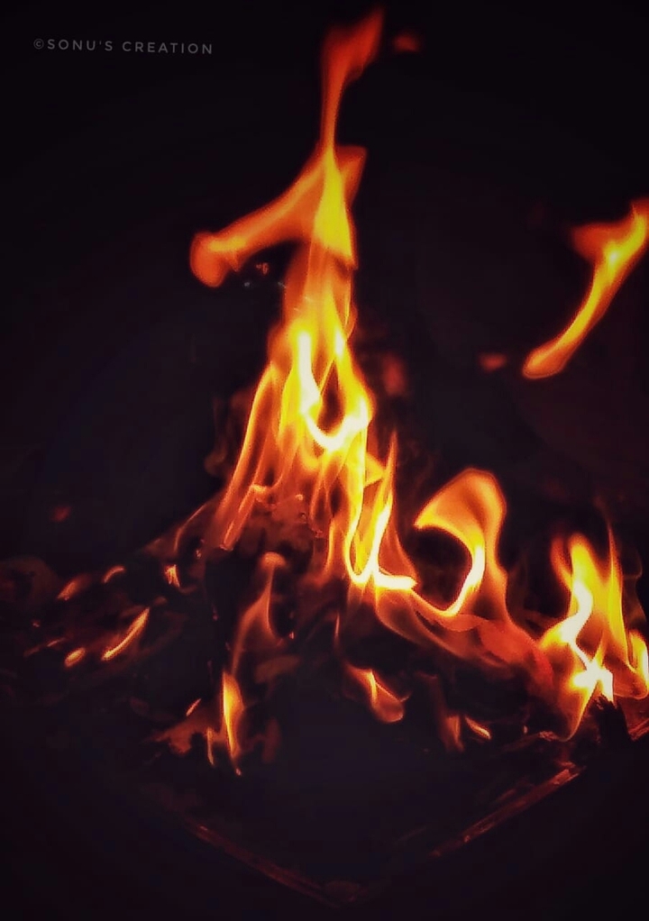 Burning Woods