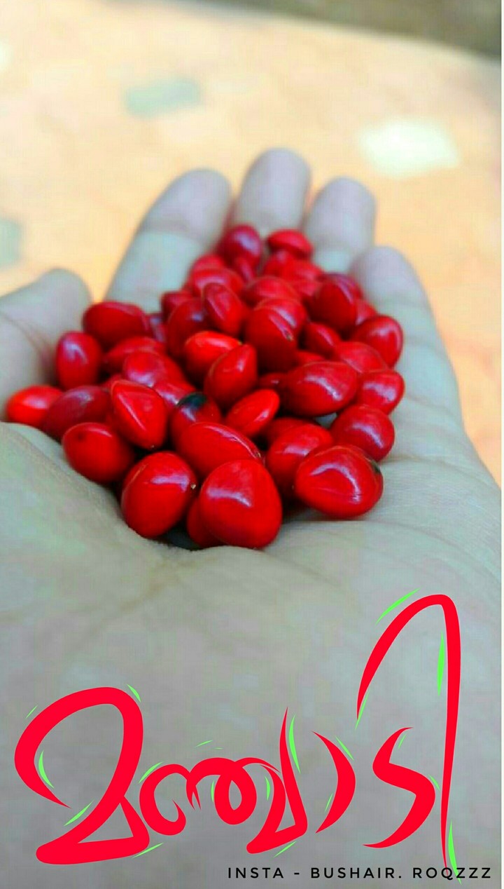 Do you like 