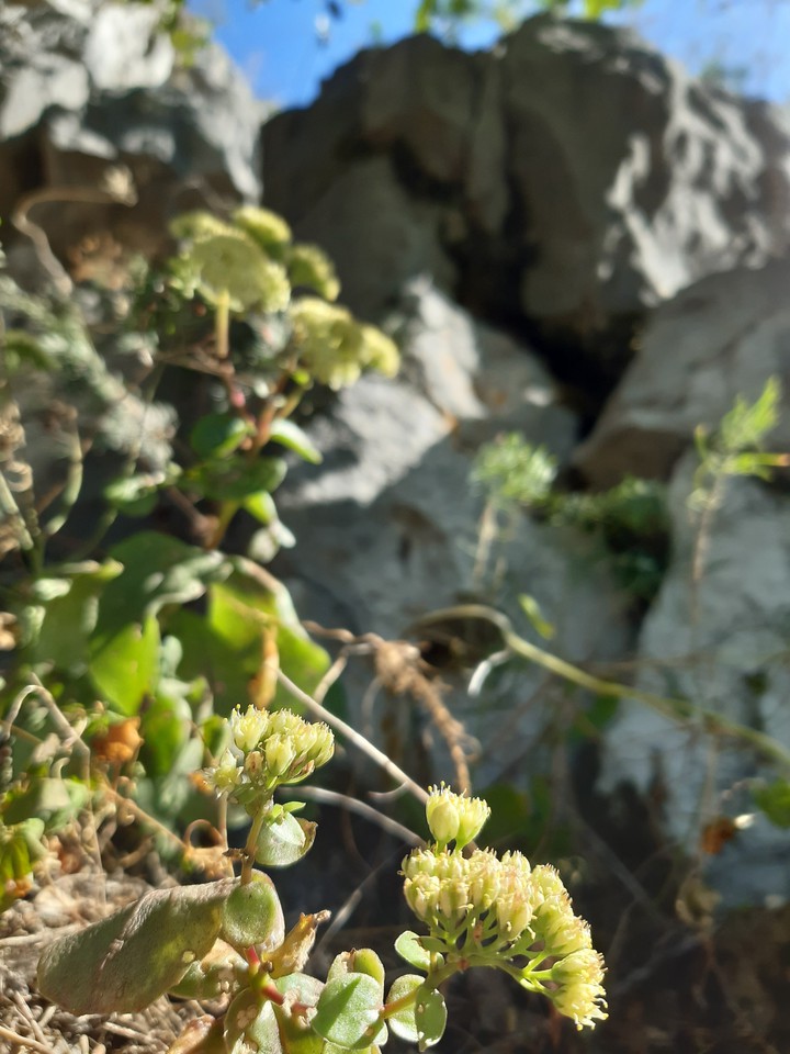 Tiny detailes