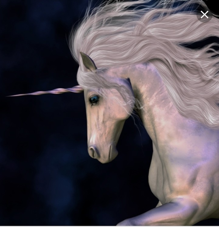 #Unicorn??
