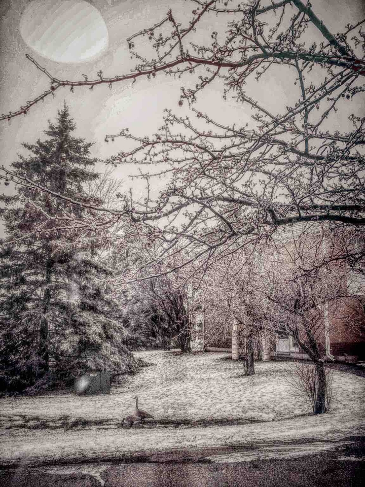 Winter