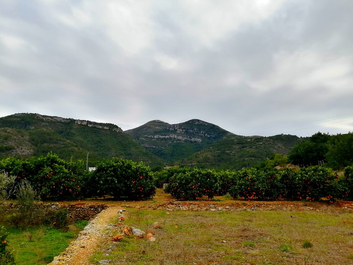 my horizonte