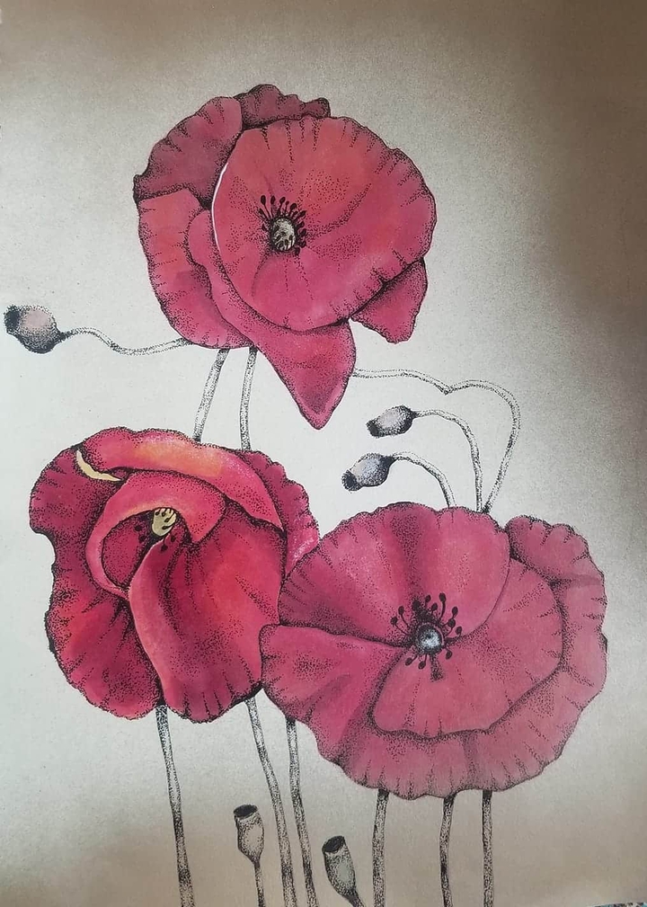 Poppies