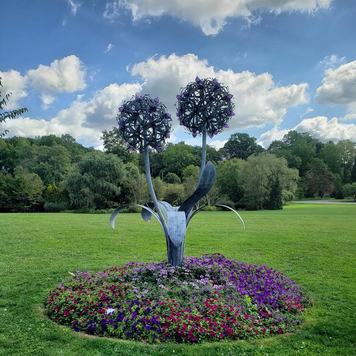 iron allium