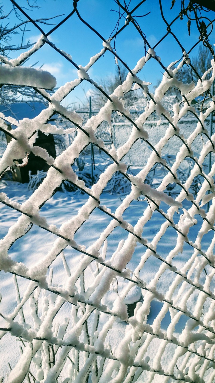 winter