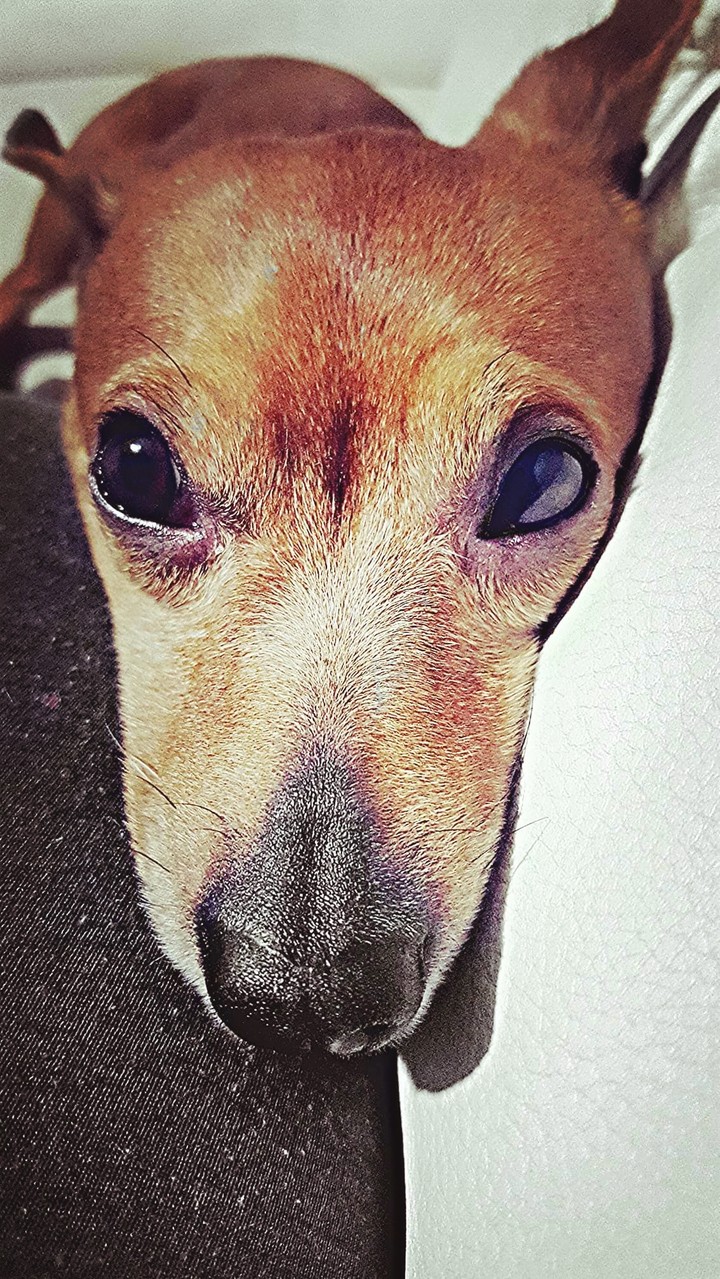 #mylove