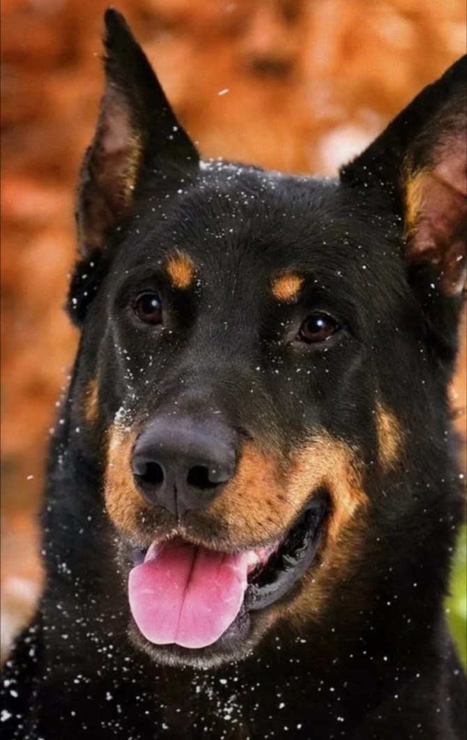❤️❤️❤️