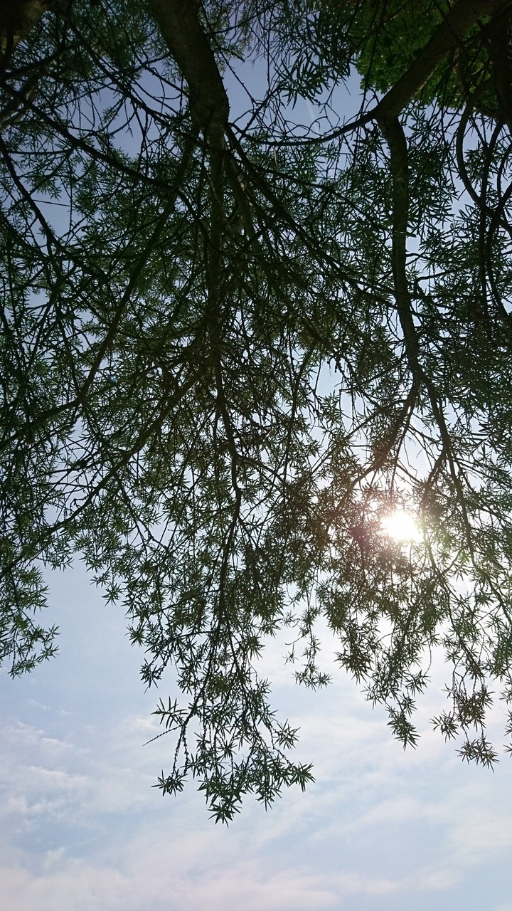 Summer feeling