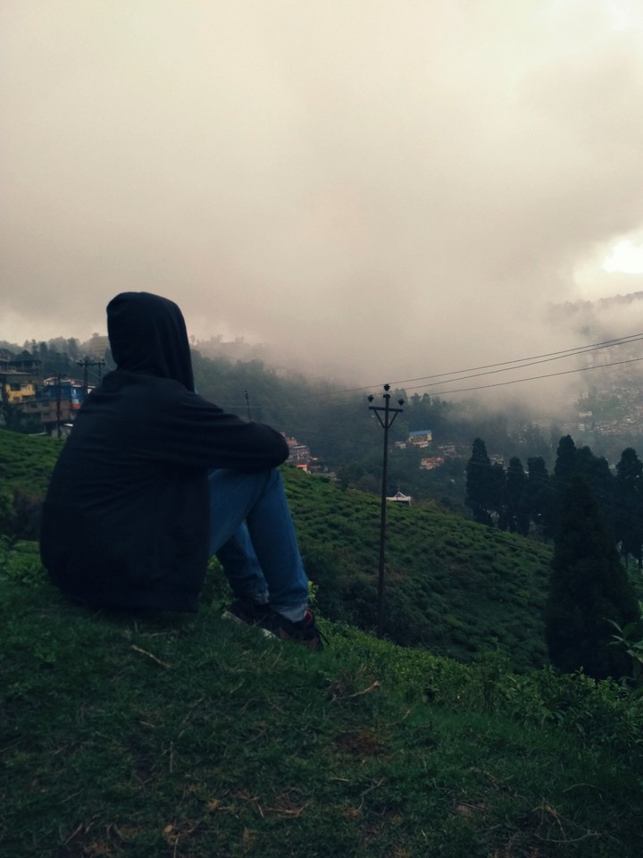 Summer in the Hills