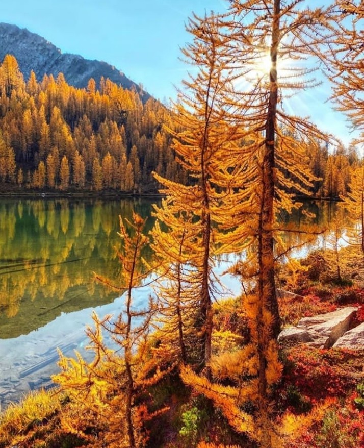 Autumn