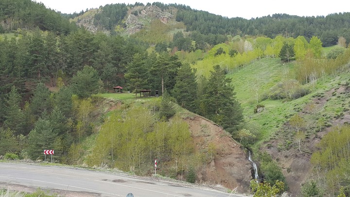 ağaç
