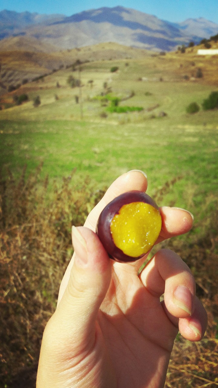 Doğal hayat/Naturel life
