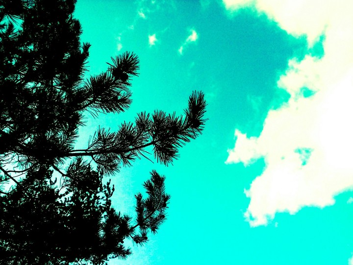 blue sky