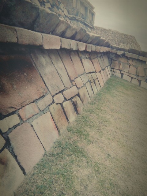 шпалери grass, concrete
