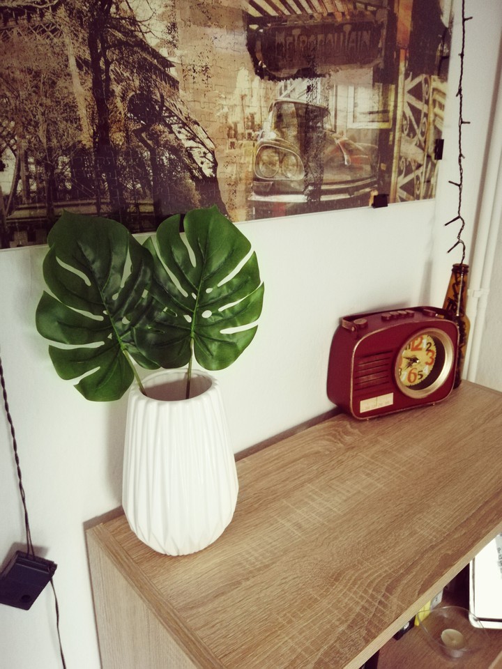 Bookcase and Plant