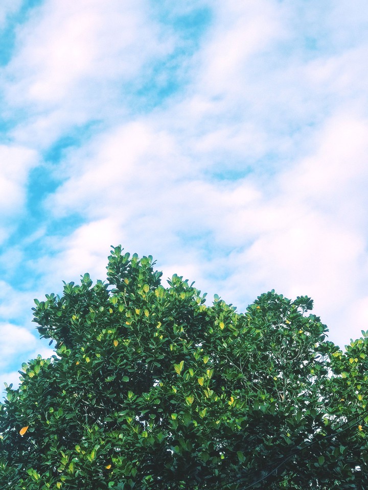 sky