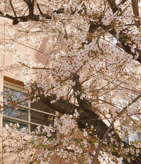 spring3