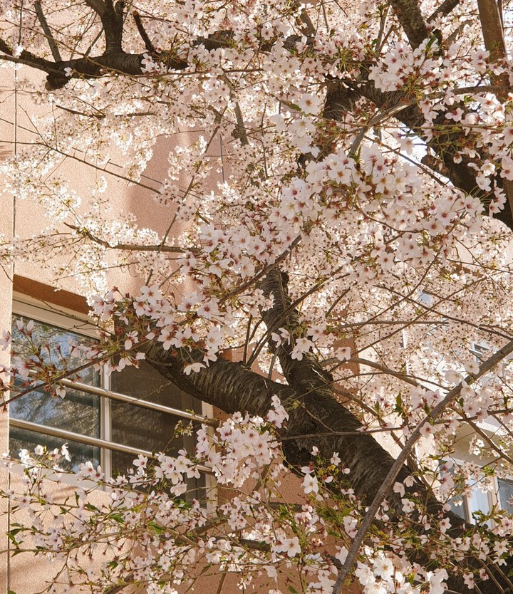 spring3