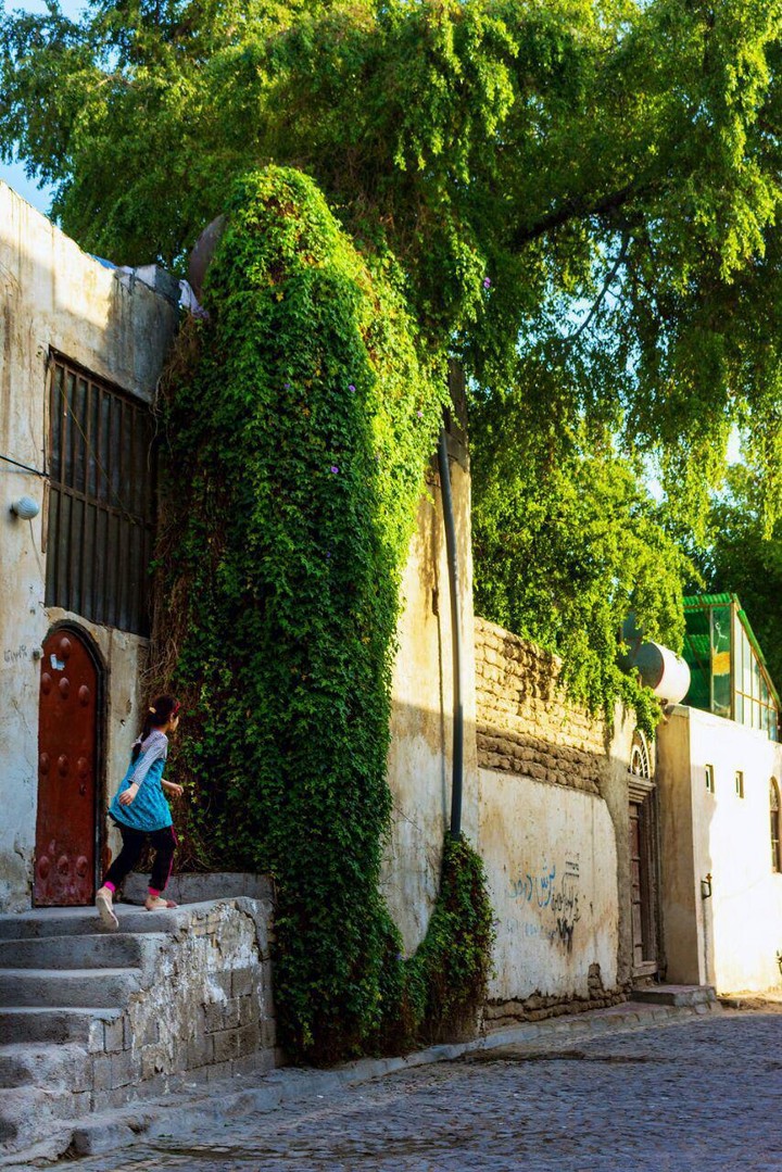 شوق روزگار کودکی