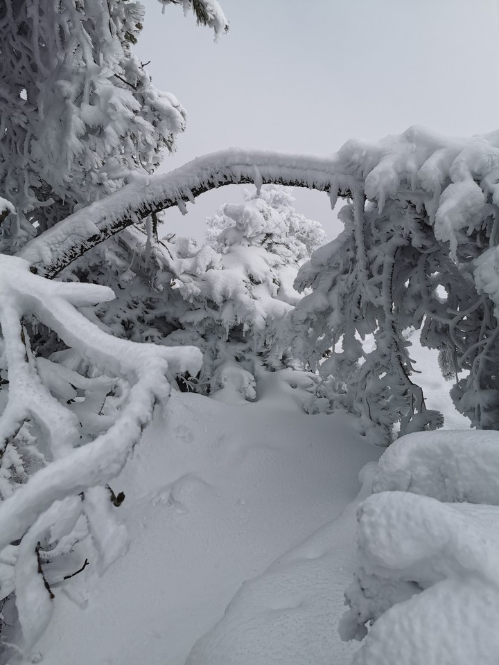 Time for snow ?