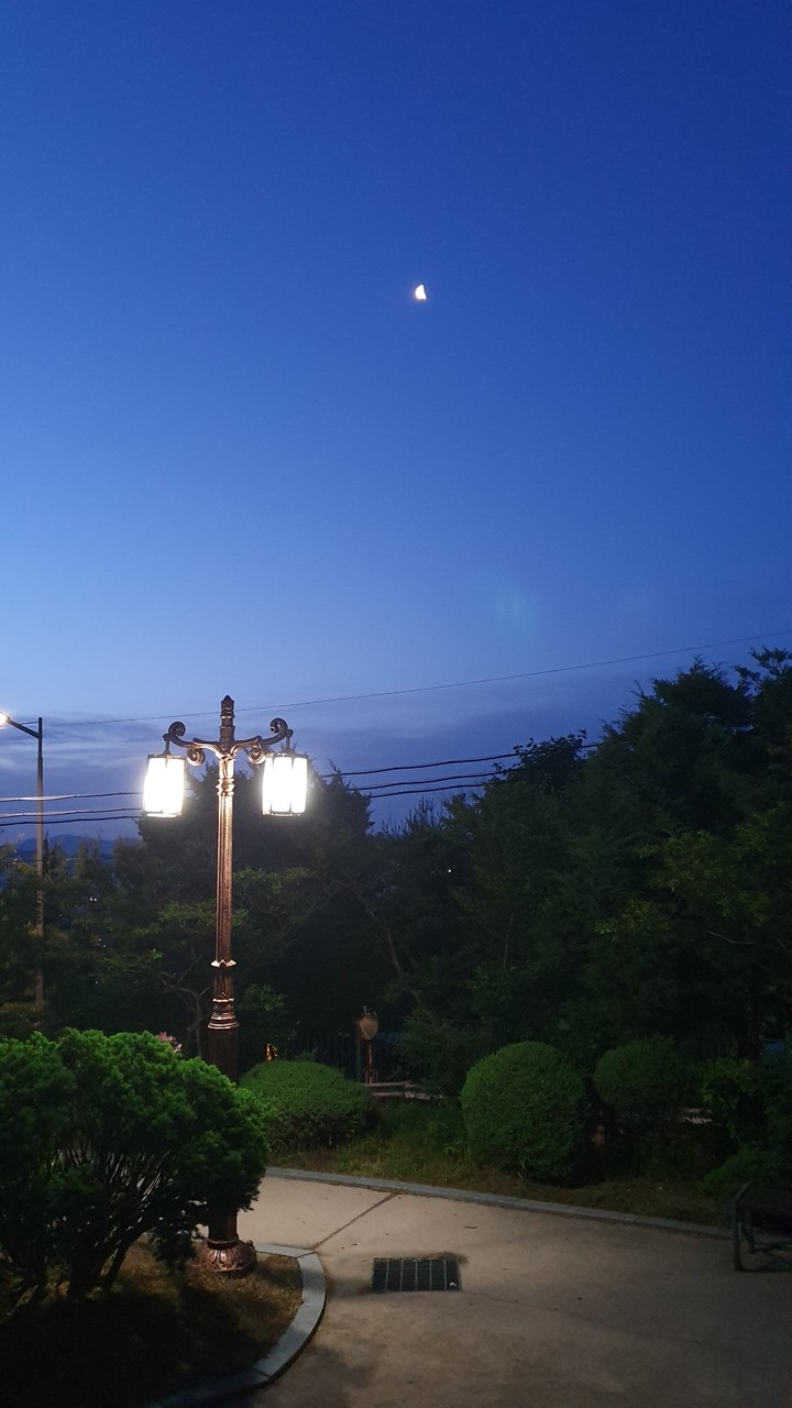 Streetlamp