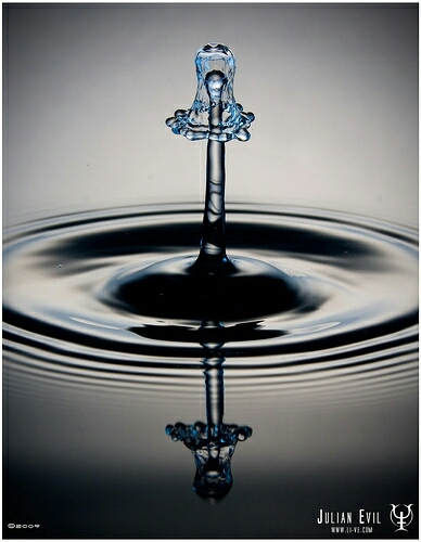 drop.... shutter on