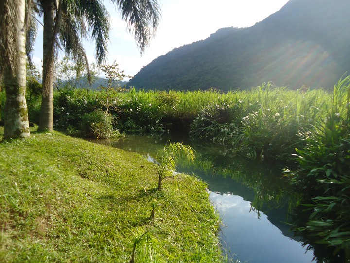arroyo cristalino