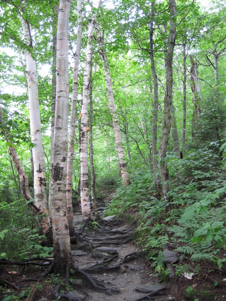 ancient path