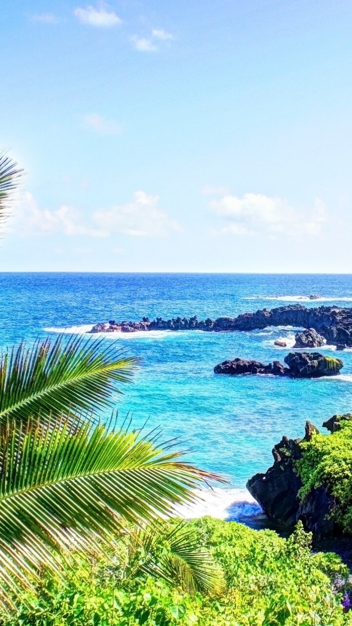 sea