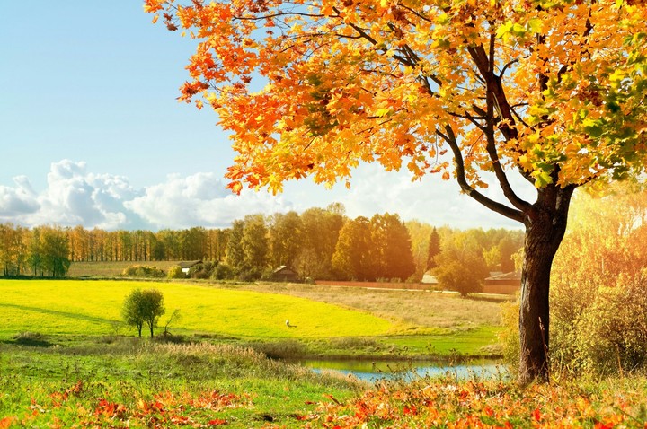 Herbst
