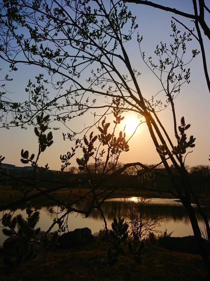 Sunset on Russian island