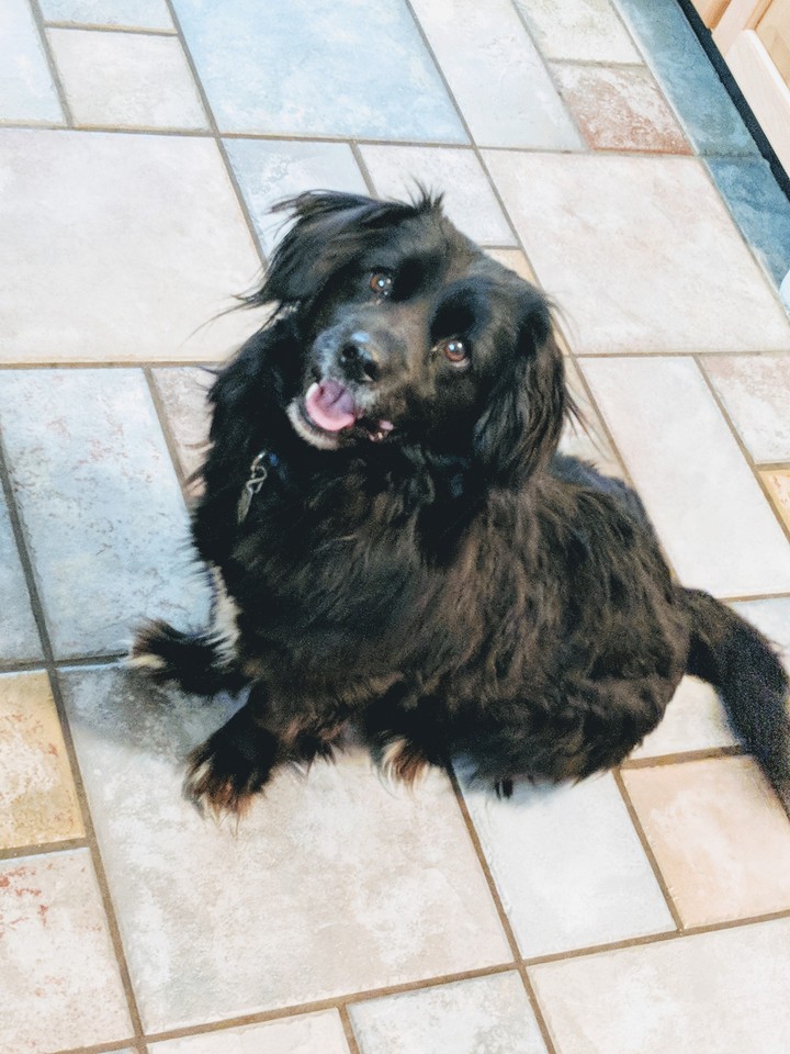 Charles the great