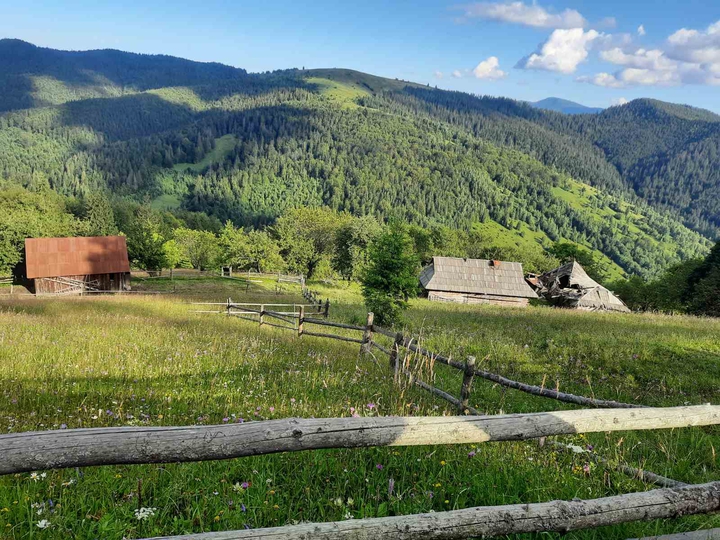 Karpaty