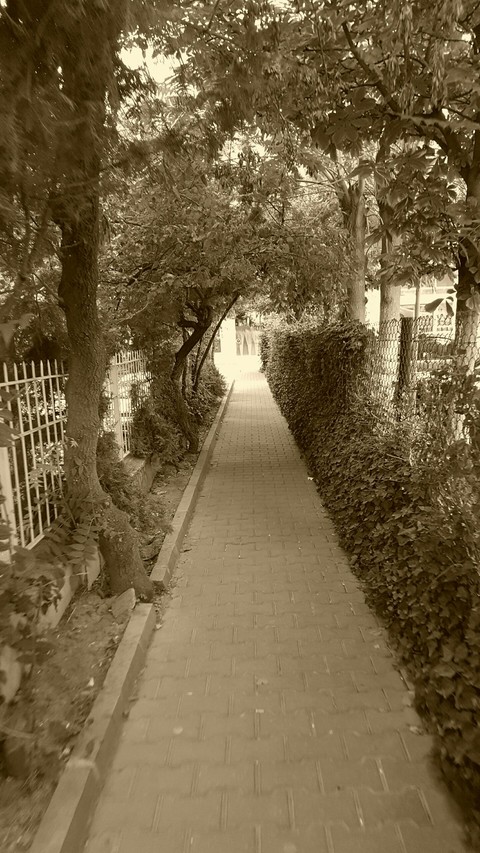 way