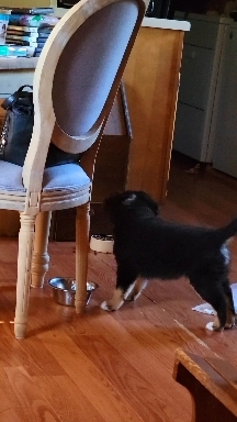 he's not done