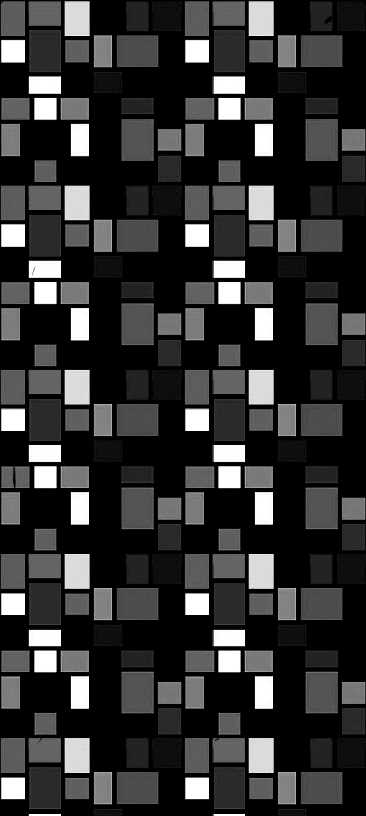 3D