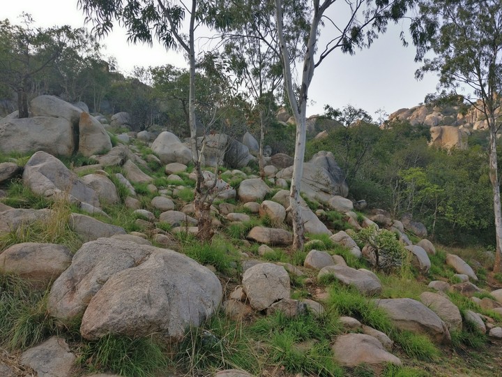 Anthargange trek!