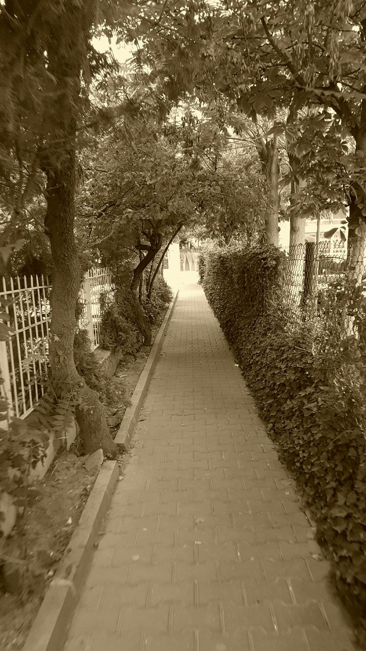 way