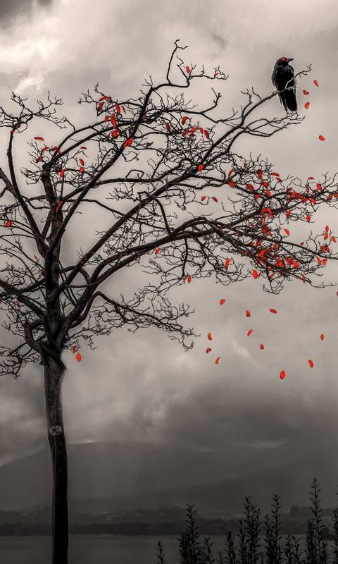 Death Tree