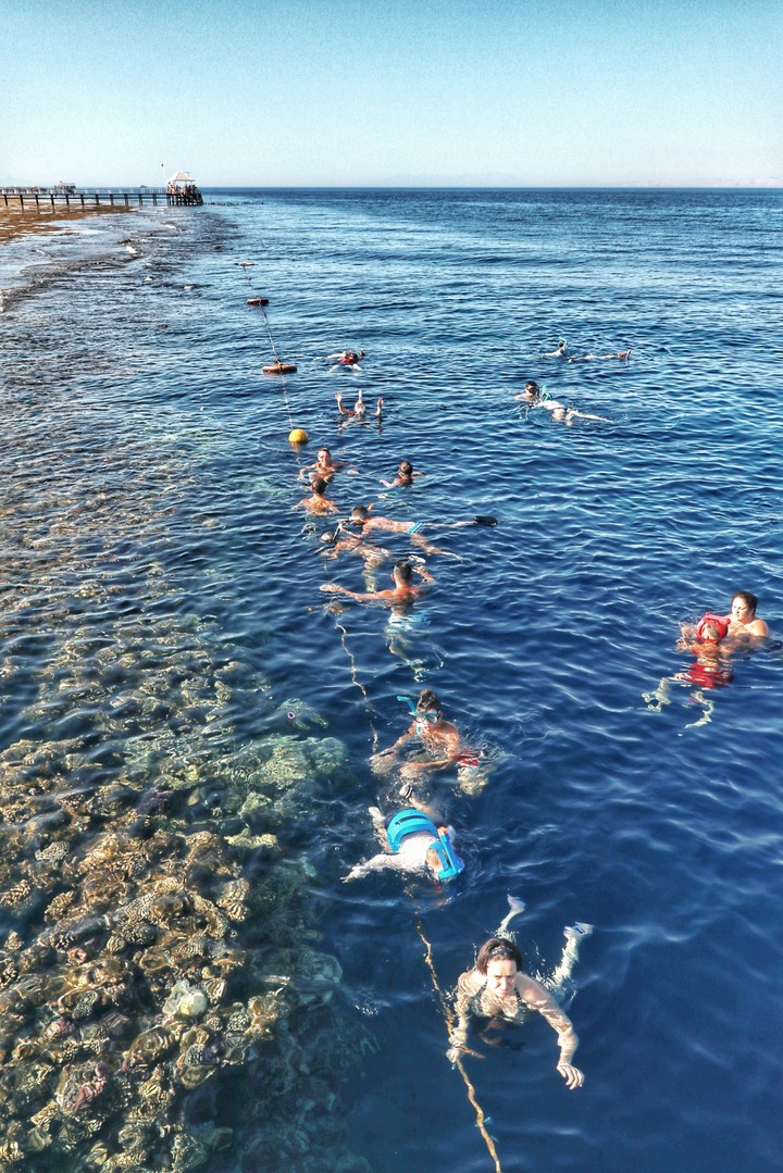 море