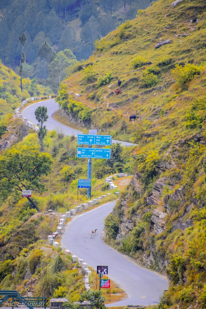 Road