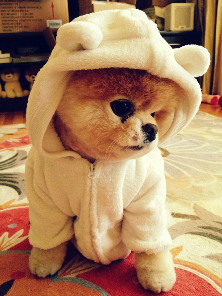 BOO